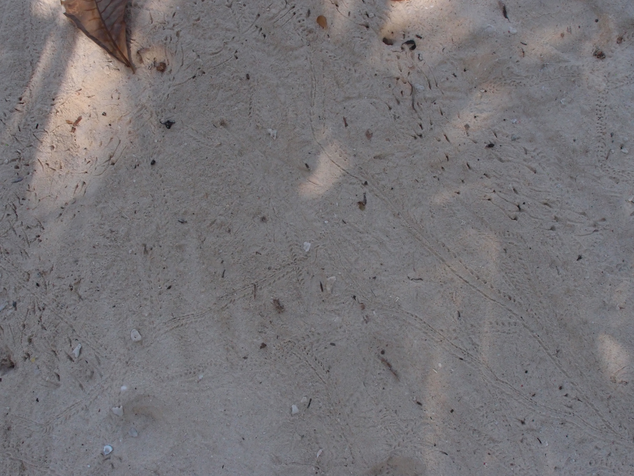 2015-10-07 04 Sand (Foto)